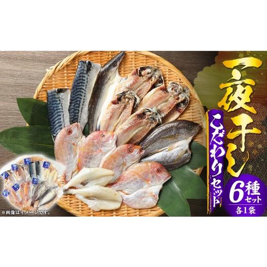 ふるさと納税 干物 アジ 長崎県 長崎市 一夜干しこだわりセット / さば塩 あじ塩 かます開き 連子鯛開き ふぐ イサキ 鯖 サバ 鯵 アジ カマス タイ フグ 河豚…