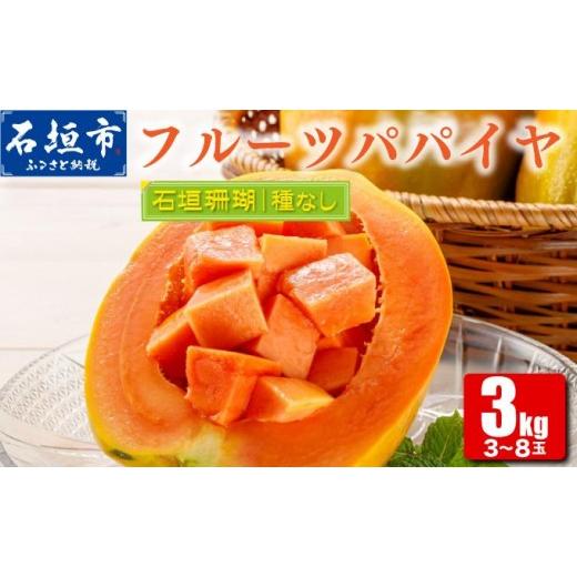 ふるさと納税 果物類 沖縄県 石垣市 フルーツパパイヤ 3kg | パパイヤ フルーツパパイヤ 果物 くだもの フルーツ 果実 国産 沖縄県 沖縄 石垣 石垣島 石垣市 3…