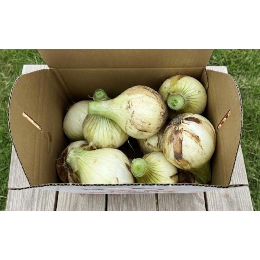 ふるさと納税 野菜類 玉ねぎ 兵庫県 南あわじ市  新玉・サイズ混合 淡路島玉ねぎ 三世代で紡ぐ味淡路島の新玉ねぎ 10Kg 配送4月下旬〜5月下旬 新たまねぎ10Kg…の画像