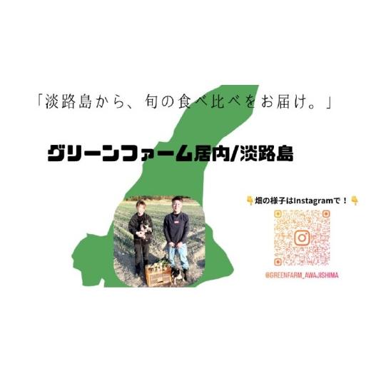 ふるさと納税 野菜類 玉ねぎ 兵庫県 南あわじ市  新玉・サイズ混合 淡路島玉ねぎ 三世代で紡ぐ味淡路島の新玉ねぎ 10Kg 配送4月下旬〜5月下旬 新たまねぎ10Kg…の画像
