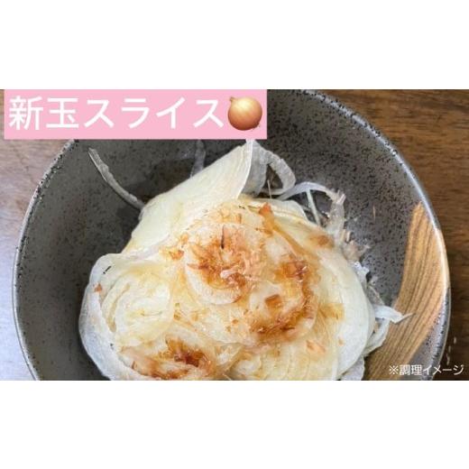 ふるさと納税 野菜類 玉ねぎ 兵庫県 南あわじ市  新玉・サイズ混合 淡路島玉ねぎ 三世代で紡ぐ味淡路島の新玉ねぎ 10Kg 配送4月下旬〜5月下旬 新たまねぎ10Kg…の画像