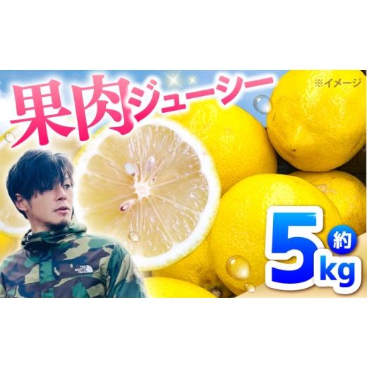 ふるさと納税 みかん・柑橘類 レモン 長崎県 南島原市 2026年〜11月末発送 レモン 5kg 国産 希少 / れもん 檸檬 柑橘 フルーツ ふるーつ 果物 くだもの / …