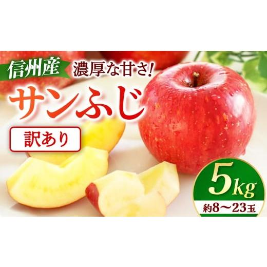 ふるさと納税 りんご 長野県 豊丘村 先行予約 訳あり りんご サンふじ 約5kg 2027年1月上旬〜2月上旬発送予定 リンゴ|長野県産|果物|くだもの