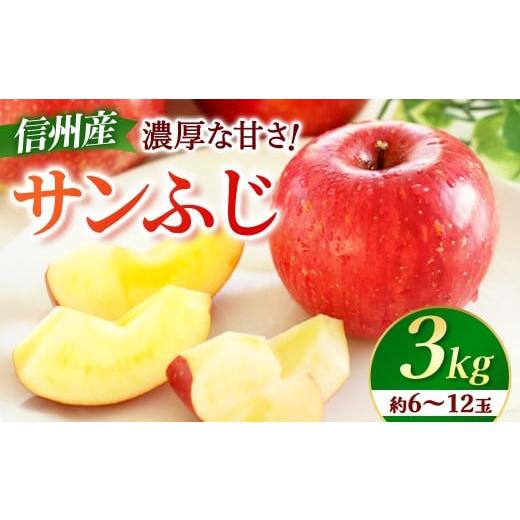 ふるさと納税 りんご 長野県 豊丘村 先行予約 りんご サンふじ 約3kg 2026年11月下旬〜12月中旬発送予定 リンゴ|長野県産|果物|くだもの
