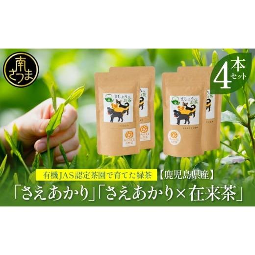 ふるさと納税 お茶類 緑茶(茶葉・ティーバッグ) 鹿児島県 南さつま市 鹿児島県産緑茶 ましょうのお茶「さえあかり」「さえあかり×在来茶」4本セット 計200…