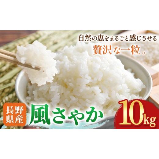 ふるさと納税 米 コシヒカリ 長野県 木島平村 木島平村産 風さやか 約10kg | 米 風さやか 長野 長野県 長野県産 木島平村 木島平村産