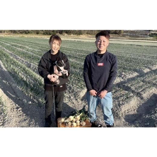 ふるさと納税 野菜類 玉ねぎ 兵庫県 南あわじ市  淡路島玉ねぎ・サイズ混合 三世代で紡ぐ味淡路島の玉ねぎ 10Kg 配送6月上旬〜8月中旬 たまねぎ10Kg М〜2L混…の画像