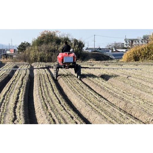 ふるさと納税 野菜類 玉ねぎ 兵庫県 南あわじ市  淡路島玉ねぎ・サイズ混合 三世代で紡ぐ味淡路島の玉ねぎ 10Kg 配送6月上旬〜8月中旬 たまねぎ10Kg М〜2L混…の画像