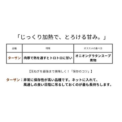 ふるさと納税 野菜類 玉ねぎ 兵庫県 南あわじ市  淡路島玉ねぎ・サイズ混合 三世代で紡ぐ味淡路島の玉ねぎ 10Kg 配送6月上旬〜8月中旬 たまねぎ10Kg М〜2L混…の画像