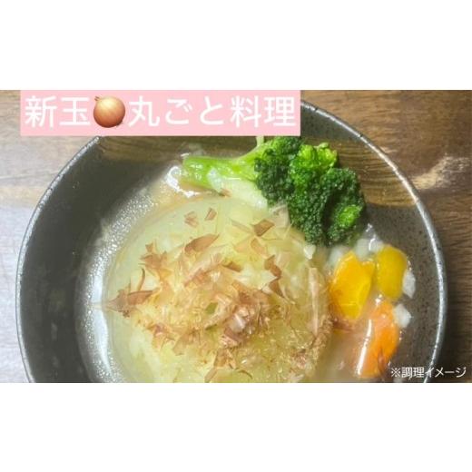 ふるさと納税 野菜類 玉ねぎ 兵庫県 南あわじ市  淡路島玉ねぎ・サイズ混合 三世代で紡ぐ味淡路島の玉ねぎ 10Kg 配送6月上旬〜8月中旬 たまねぎ10Kg М〜2L混…の画像