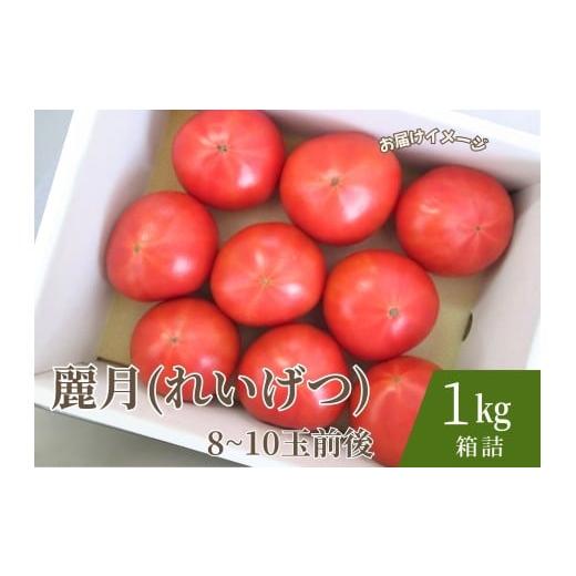 ふるさと納税 野菜類 トマト 宮城県 大崎市 糖度7度以上 麗月トマト 1kg|冬期育ちの濃厚な甘み・産地直送の完熟トマト