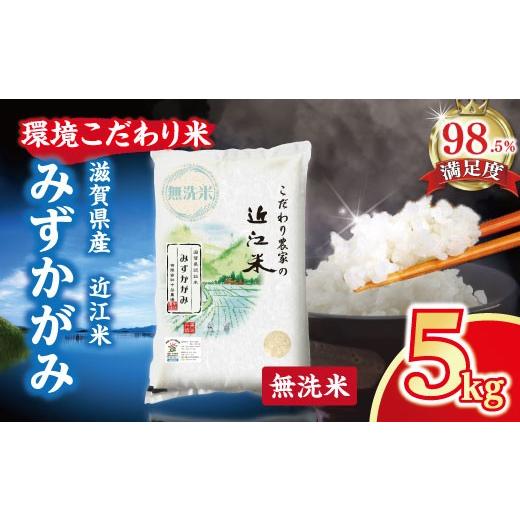 ふるさと納税 無洗米 滋賀県 近江八幡市 7年産 近江米 環境こだわり米 みずかがみ 無洗米 5kg×1 BN15W みずかがみ 米 お米 こめ コメ 白米 ご飯 精米 5kg 10…