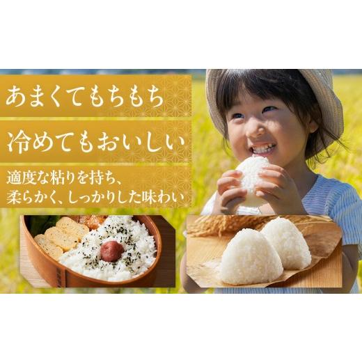 ふるさと納税 米 コシヒカリ 新潟県 佐渡市 世界農業遺産の島・佐渡で育った無洗米コシヒカリ 真空パック 900g×6袋セット_5