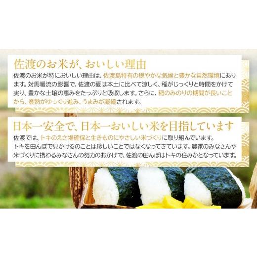 ふるさと納税 米 コシヒカリ 新潟県 佐渡市 世界農業遺産の島・佐渡で育った無洗米コシヒカリ 真空パック 900g×6袋セット_6