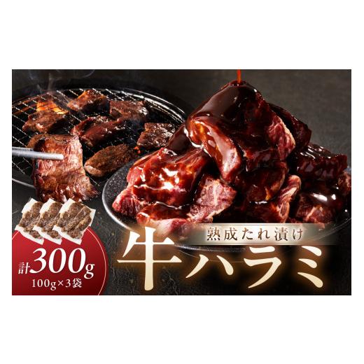 ふるさと納税 牛肉 京都府 京丹後市 4月発送:たれ漬けハラミ 1パック100g×3袋 NH00044_04 4月発送