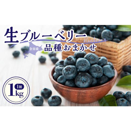 ふるさと納税 果物類 北海道 余市町 2026年7月下旬頃より発送 青果ブルーベリーおまかせ1種1kg(500g×2パック) アイケイファーム余市
