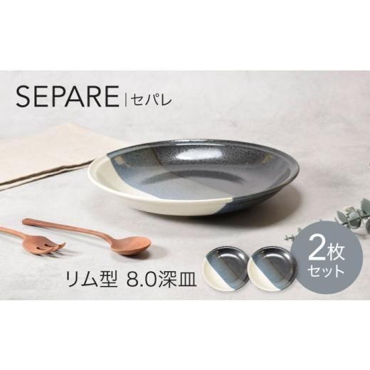 ふるさと納税 食器・グラス 大皿 岐阜県 土岐市 美濃焼 セパレ リム型 8.0深皿 2点セット カネ定製陶 プレート 大皿 モノトーン