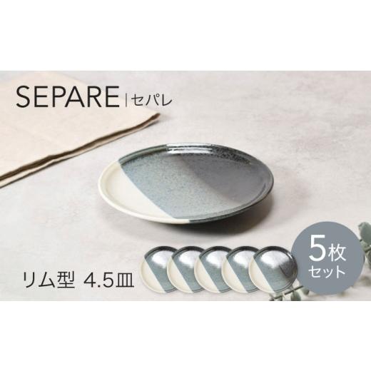 ふるさと納税 食器・グラス 皿 岐阜県 土岐市 美濃焼 セパレ リム型 4.5皿 5点セット カネ定製陶 プレート 皿 モダン