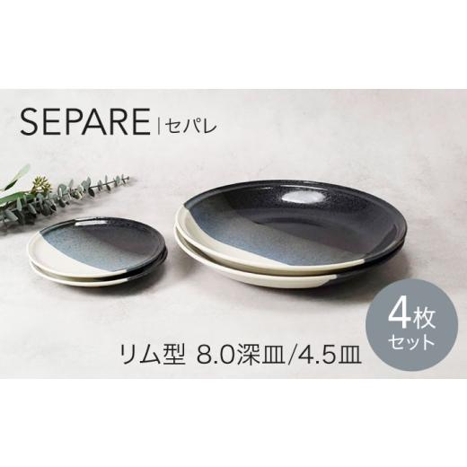 ふるさと納税 食器・グラス 大皿 岐阜県 土岐市 美濃焼 セパレ リム型 8.0深皿 2点 & 4.5皿 2点 合計4点 セット カネ定製陶 プレート 皿 大皿