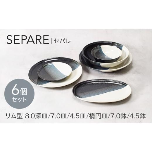 ふるさと納税 食器・グラス 皿 岐阜県 土岐市 美濃焼 セパレ リム型 シリーズ 各1点 合計6点 セット カネ定製陶 食器セット モダン