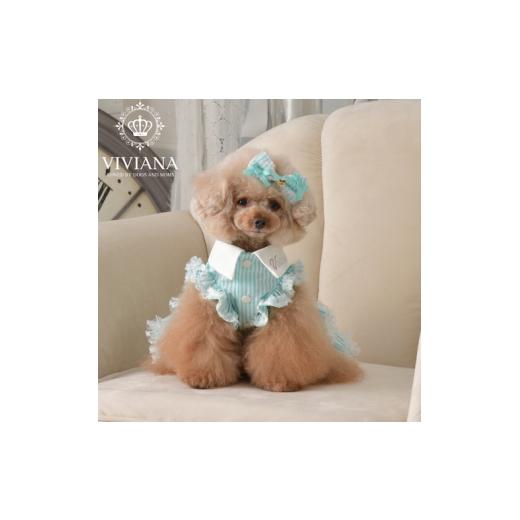 ふるさと納税 ファッション 神奈川県 秦野市 ドッグウェア「VIVIANA」 ストライプワンピースストライプワンピース / Green