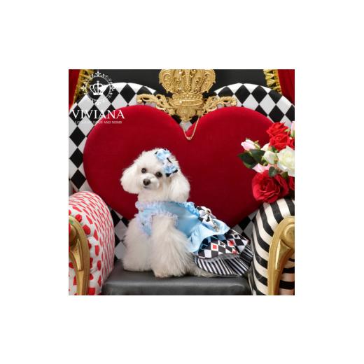 ふるさと納税 ファッション 神奈川県 秦野市 ドッグウェア「VIVIANA」アリスドレス