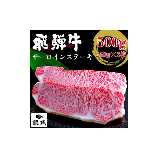 ふるさと納税 牛肉 ステーキ 岐阜県 輪之内町 毎月定期便 厚切り 飛騨牛 サーロインステーキ500g(250g×2枚)全3回 4083369