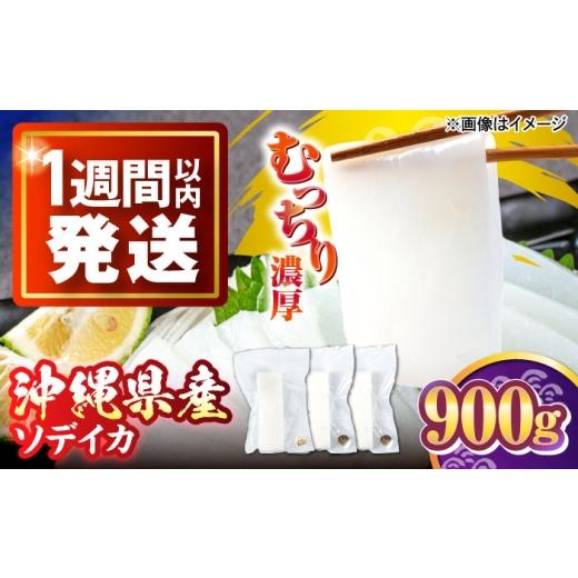 ふるさと納税 イカ 沖縄県 沖縄市 冷凍セーイカ (そでいか) 900g (300g ×3パック) 沖縄市 / 沖縄市漁業協同組合 パヤオ直売店