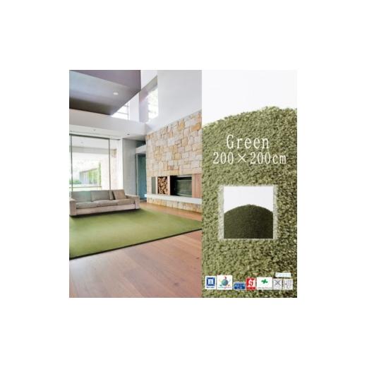 ふるさと納税 家具 大阪府 和泉市 高密度&amp;素足に心地よいソフトタッチ カーペット (サキソニー)グリーン 200×200cm 1395798