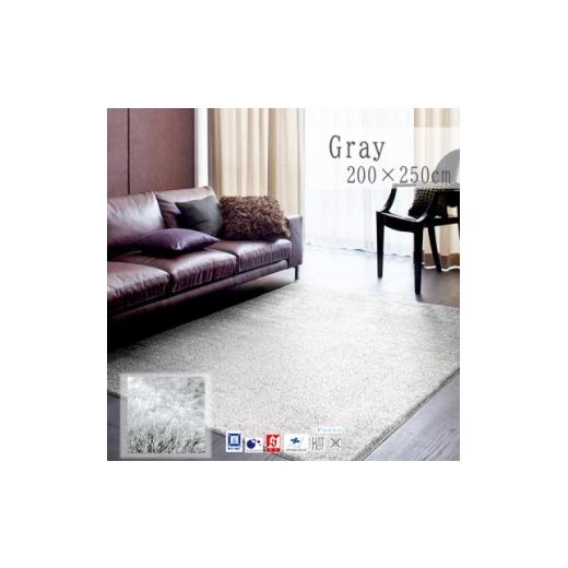 ふるさと納税 家具 大阪府 和泉市  200×250cm ネオグラス  カーペット  ラグ  カラー:グレー 1502495の画像