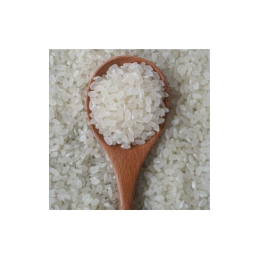 ふるさと納税 米 群馬県 藤岡市 有機こしひかり白米450g×6袋(令和7年産) 1709185