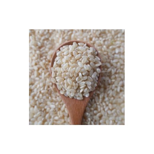 ふるさと納税 玄米 群馬県 藤岡市 有機こしひかり 玄米 500g×6袋(令和7年産) 1709186