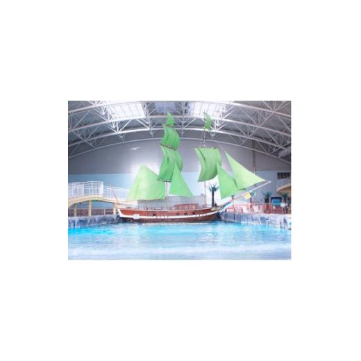 ふるさと納税 体験チケット 愛知県 清須市 アルコ清洲 大人回数券 12枚つづり 1718537