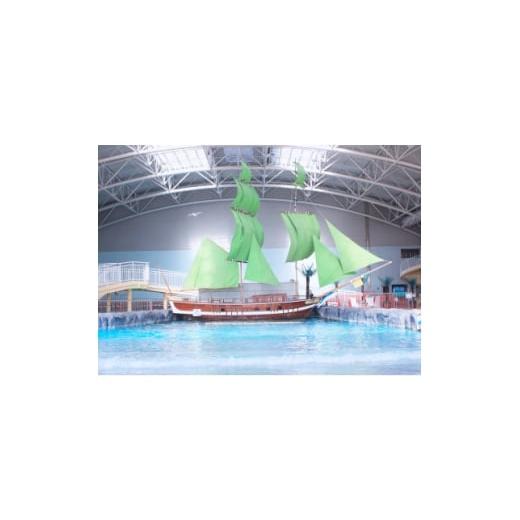 ふるさと納税 体験チケット 愛知県 清須市 アルコ清洲 小人回数券 12枚つづり 1718538