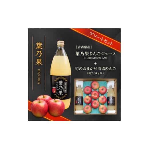 ふるさと納税 りんご 青森県 青森市 葉とらずりんごジュース2本&amp;家庭用訳あり 青森県産りんご約2.5kg(品種おまかせ) アソートセット 1719483