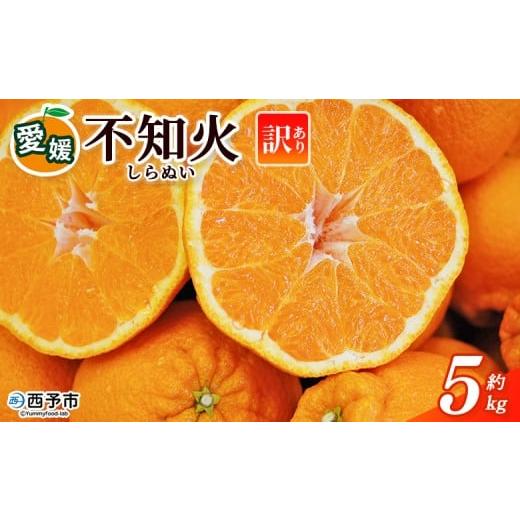 ふるさと納税 果物類 みかん 愛媛県 西予市 訳あり 不知火 (サイズ混合) 約5kg 5キロ 愛媛 蜜柑 ミカン みかん 果物 フルーツ 柑橘 国産 しらぬひ しらぬい …