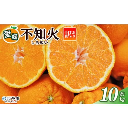ふるさと納税 果物類 みかん 愛媛県 西予市 訳あり 不知火 (サイズ混合) 約10kg 10キロ 愛媛 蜜柑 ミカン みかん 果物 フルーツ 柑橘 国産 しらぬひ しらぬい…