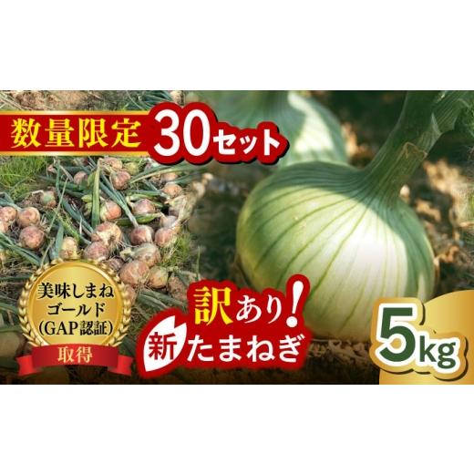 ふるさと納税 野菜類 玉ねぎ 島根県 松江市 訳あり 数量限定30個 先行予約/2026年6月上旬以降順次発送 美味しまねゴールド認証取得 松江市産 春おとずれ新た…
