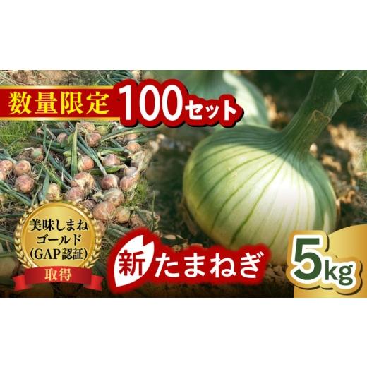 ふるさと納税 野菜類 玉ねぎ 島根県 松江市 数量限定100個 先行予約/2026年6月上旬以降順次発送 美味しまねゴールド認証取得 松江市産 春おとずれ新たまねぎ…