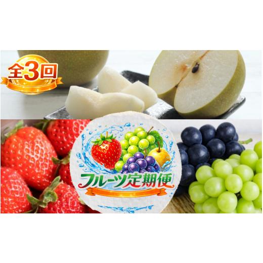 ふるさと納税 果物の詰合せ 和歌山県 かつらぎ町 全3回 かつらぎ町産 フルーツ定期便(まりひめ・シャイン&ピオーネ・梨)フルーツ王国よりお届け / いちご…