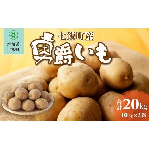 ふるさと納税 野菜類 じゃがいも 北海道 七飯町 七飯町産男爵いも20kg(10kg×2箱) ふるさと納税 人気 おすすめ ランキング じゃがいも 男爵 男爵いも 北海道 …