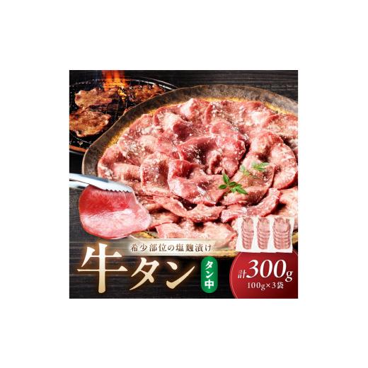 ふるさと納税 牛肉 タン 京都府 京丹後市 6月発送:牛タン(塩?漬け) 1パック100g×3袋 NH00046_06 6月発送