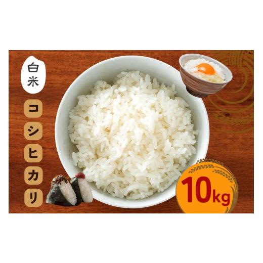 ふるさと納税 米 コシヒカリ 茨城県 笠間市 令和7年度 笠間産 コシヒカリ 10kg 精米 米 白米 こめ コメ ご飯 ごはん 農家直送 産地直送 国産 茨城県 笠間市 青…