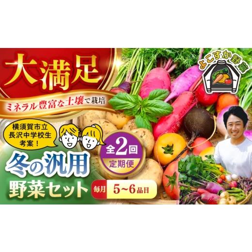 ふるさと納税 セット・詰合せ 神奈川県 横須賀市 先行予約 全2回定期便 冬の汎用野菜セット(5〜6品目)冬(12月〜1月) 鈴也ファーム