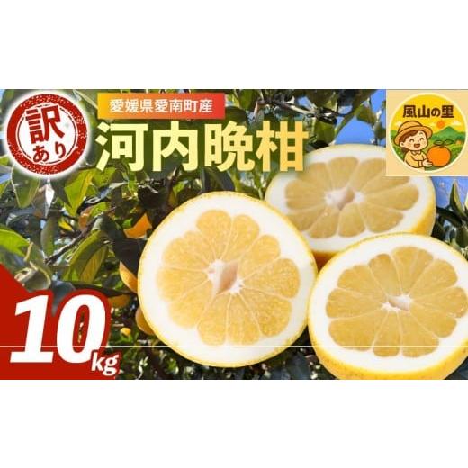 ふるさと納税 みかん・柑橘類 愛媛県 愛南町 訳あり 河内晩柑 10kg 家庭用 フルーツ 果物 くだもの 柑橘 愛南ゴールド 和製 グレープフルーツ みかん mikan 蜜…