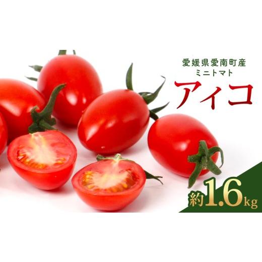 ふるさと納税 野菜類 トマト 愛媛県 愛南町 アイコ 約1.6kg 大瀧農園 トマト 完熟トマト 野菜 産地 直送 人気 国産 愛媛県 愛南町 発送期間:2026年3月1日〜7…