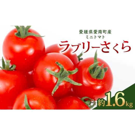 ふるさと納税 野菜類 トマト 愛媛県 愛南町 ラブリーさくら 約1.6kg 大瀧農園 トマト 完熟トマト 野菜 産地 直送 人気 国産 愛媛県 愛南町 発送期間:2026年3…