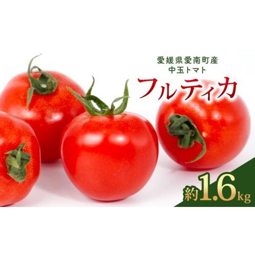 ふるさと納税 野菜類 トマト 愛媛県 愛南町 フルティカ 約1.6kg 大瀧農園 トマト 完熟トマト 野菜 産地 直送 人気 国産 愛媛県 愛南町 発送期間:2026年3月1日…