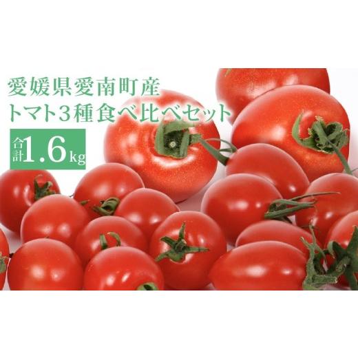 ふるさと納税 野菜類 トマト 愛媛県 愛南町 トマト3種食べ比べ アイコ ラブリーさくら フルティカ 約1.6kg 大瀧農園 トマト 完熟トマト 野菜 産地 直送 人気 …