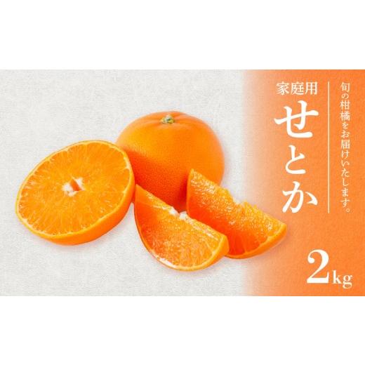 ふるさと納税 果物類 みかん 愛媛県 松山市 せとか 家庭用 2kg 順次発送中 | 訳あり みかん 柑橘 訳アリ みかん ワケアリ せとか 柑橘 みかん 果物 おすすめ …